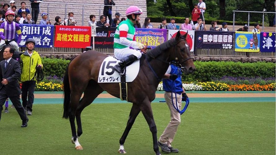 キャロ レディグレイ 一口愛馬とともに とある一口馬主の雑記帳