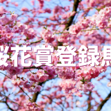 リアアメリア桜花賞に登録（登録数23頭）