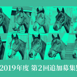 シルク2019第2回追加募集馬出資判断（バランセラの18、アルビアーノの18）