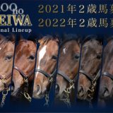 広尾TC2020追加募集馬発表