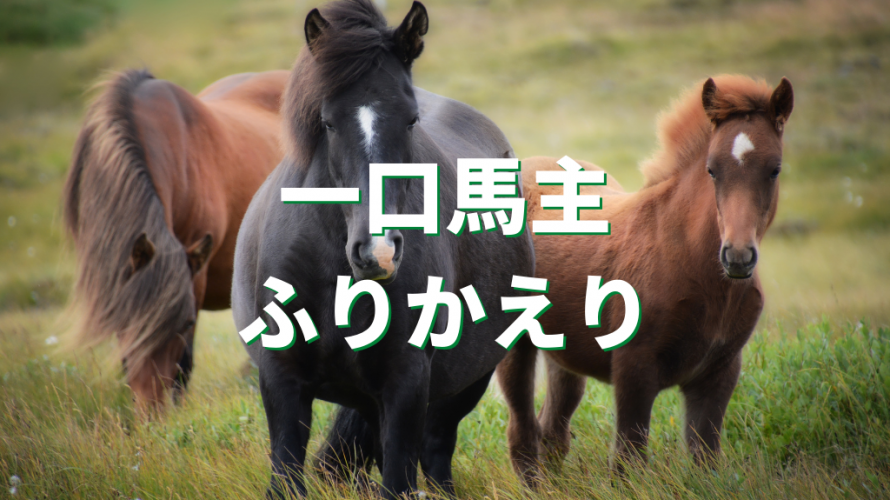 一口馬主3年目が終わりました(2020年ふりかえり)