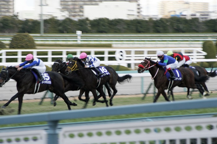 カイザーノヴァ朝日杯8着も上がり最速を記録し次に期待♪