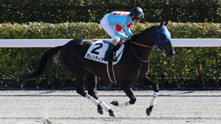 ポレンティア好走経験のある中山とルメール騎手で2勝目を狙う!!