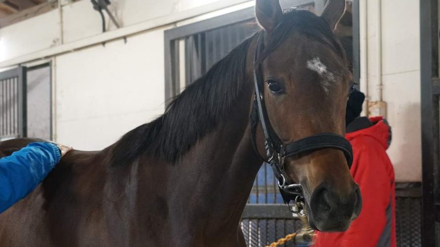 ユールファーナ昇級初戦は不可解な大敗も気配は上向き小倉滞在で勝利を目指す!!
