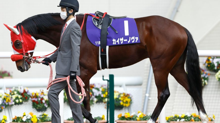 カイザーノヴァ分析データは逆風も精神面の成長で優勝を狙う!!