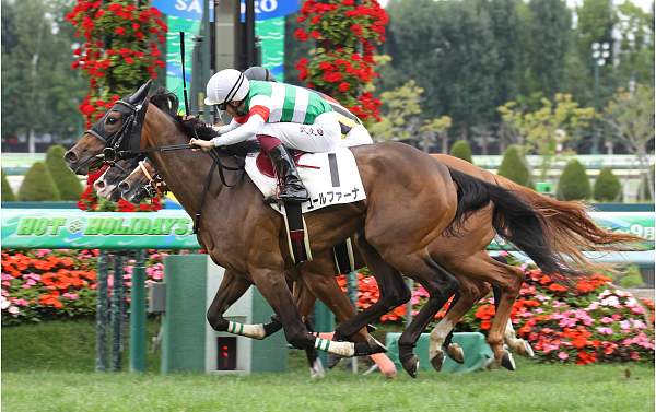 ユールファーナ初の小倉1200で躍動!!最速の上がり33秒台で2着と大健闘♪