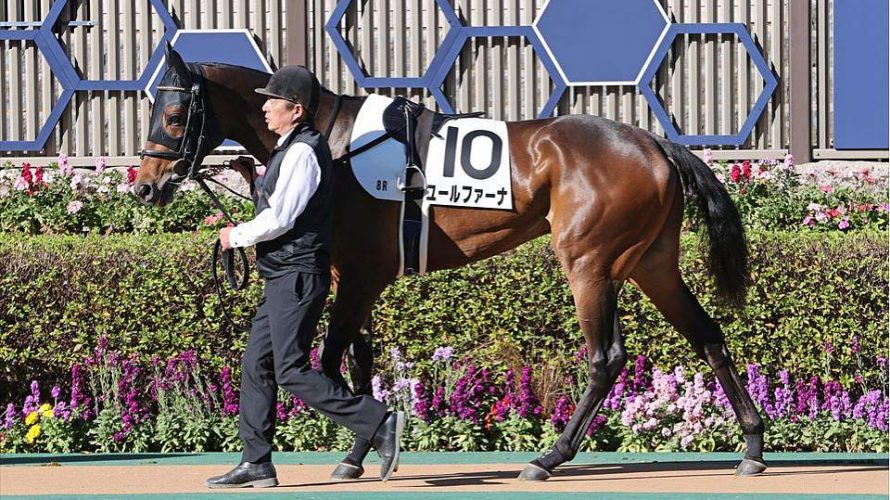 ユールファーナ小倉滞在で2勝目を目指す!!まずは不利ない競馬を